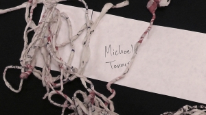 Michael Tanner's yarn